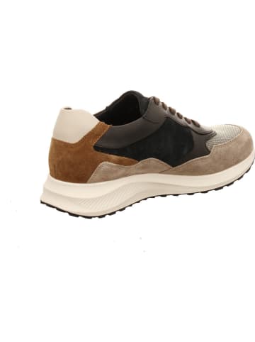Mephisto Sneaker in braun