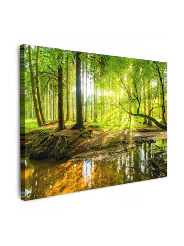 MuchoWow Poster mit Leiste Waldlicht  (BxH)