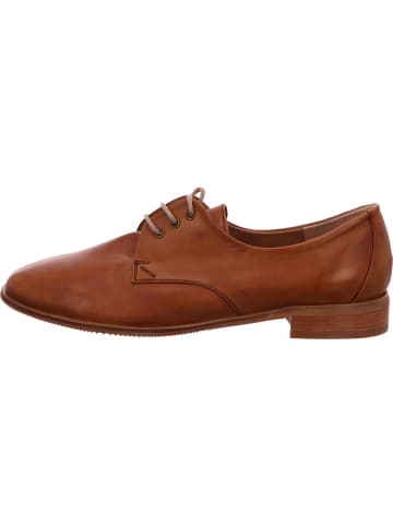 Everybody Schnürschuh in braun