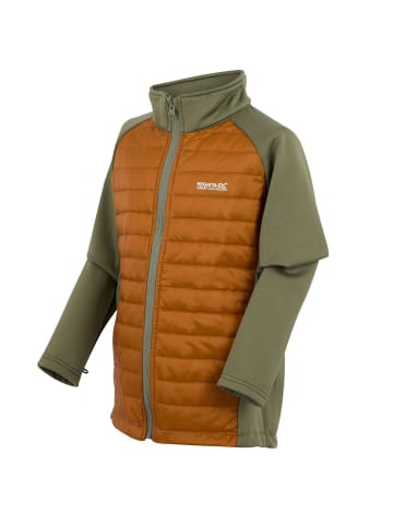 Regatta Trekktain 3 in 1 Jacke / Outdoorjacke Wasserdicht mit Kapuze in Oliv