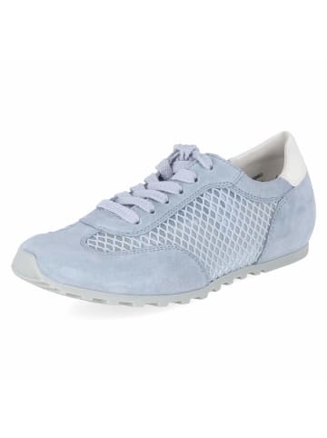 Paul Green Schnürhalbschuh in blue