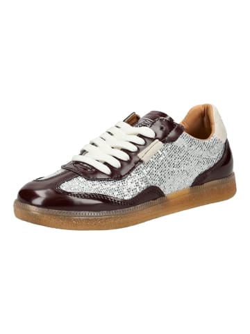 Steve Madden Sneaker in Burgundy