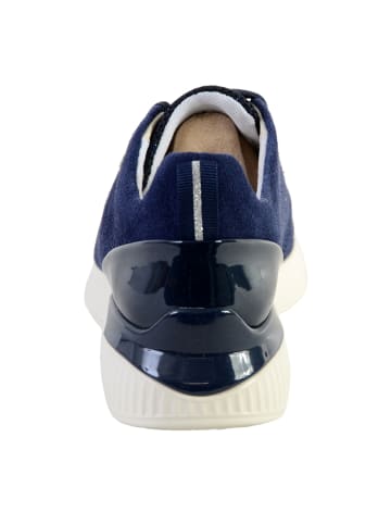 Geox D Theragon Sneaker Blau