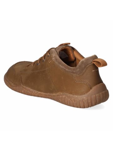Josef Seibel Schnürhalbschuh in brown