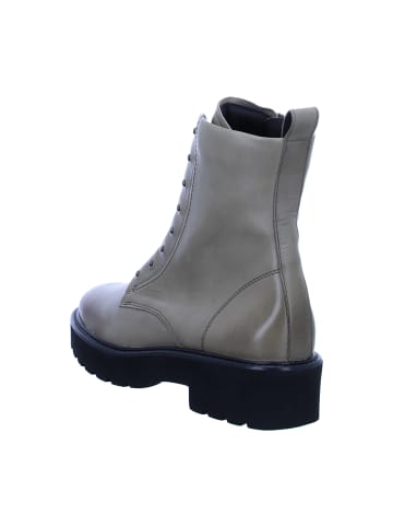 Paul Green Schnürboots in Grau