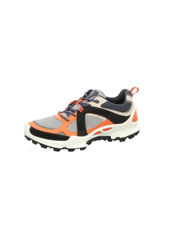 Ecco Outdoorschuhe in grau