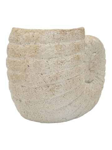 Mauro Ferretti Beige Keramikvase in Muschelform, 33 x 19 x 23 cm
