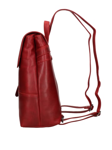 Hill Burry Rucksack in RED