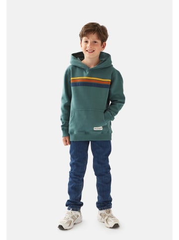 Band of Rascals Sweatwear " 70th Stripes " in sage