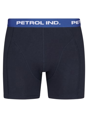 Petrol Industries 2er-Pack Boxershorts Palm in Blau