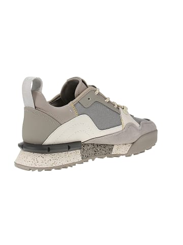 Replay Sneaker low Field in Grau