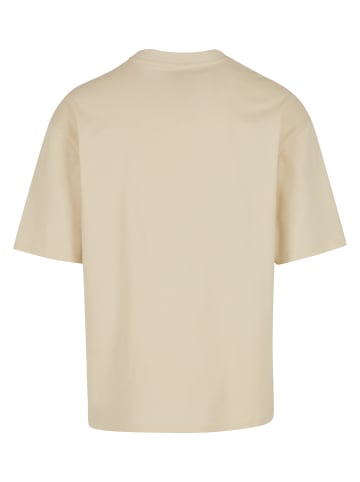 Rocawear T-Shirt in whitecap gray