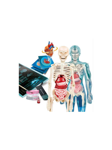 Clementoni Wissenschaftsspaß Super Anatomie
