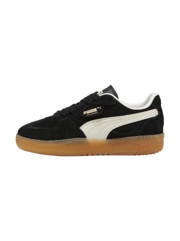 Puma Leder-Sneaker Palermo Moda Xtra Gum Wns Grün