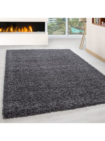 KADIMA DESIGN Teppich Hochflor Shaggy Waschbar Einfarbig RHEIN Strapazierfähig in Grau
