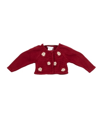 Tutto Piccolo Übergangsjacke in Bordeaux
