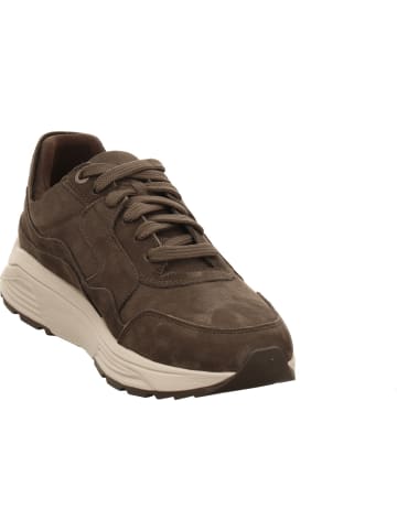 Xsensible Schnürschuhe in grau