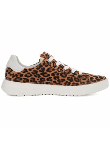 ara Sneaker für Damen in sand