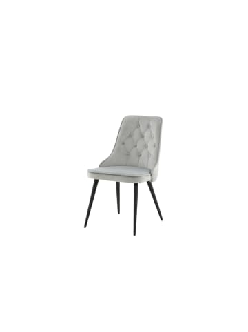 ebuy24 Esszimmerstuhl VelvetDeluxe Hellgrau 2er Set