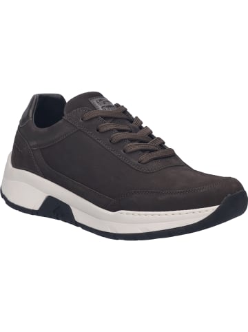 Josef Seibel Sneaker Mitchell 03 in braun