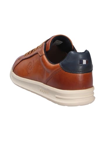 Bugatti Sneaker in braun