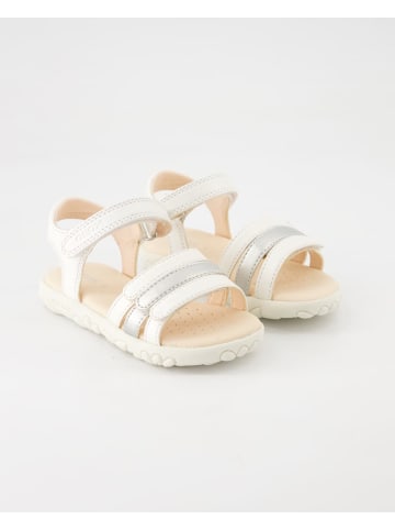 Geox Sandalen in Beige