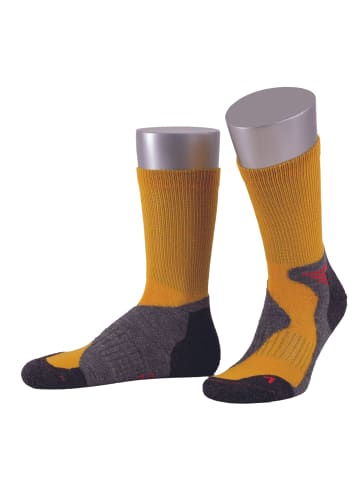 JD J. Dirks Outdoor-Funktions-Wollsocken OD40 in gelb (05)