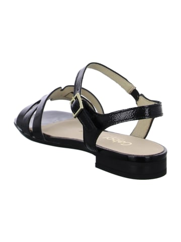 Gabor Comfort Sandalen in Schwarz