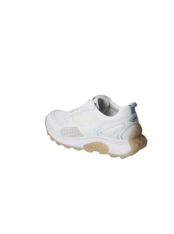 Gabor Lowtop Sneaker in weiss/sky