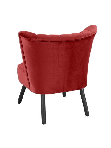 others SESSEL Kadisha Bezug Samtvelours Buche schwarz lackiert / ziegel