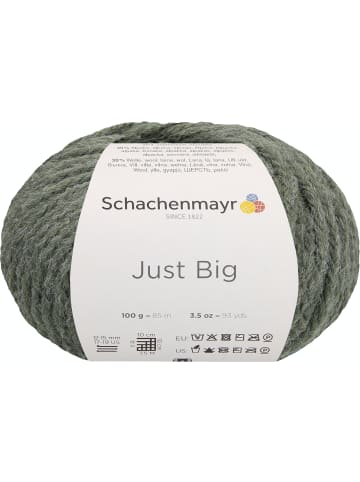 Schachenmayr since 1822 Handstrickgarne Just Big, 100g in Salbei Meliert