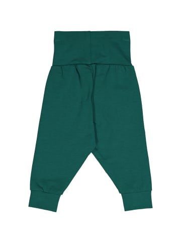 Fred´s World by GREEN COTTON Babyhose 2er-Pack in Surf/Cucumber