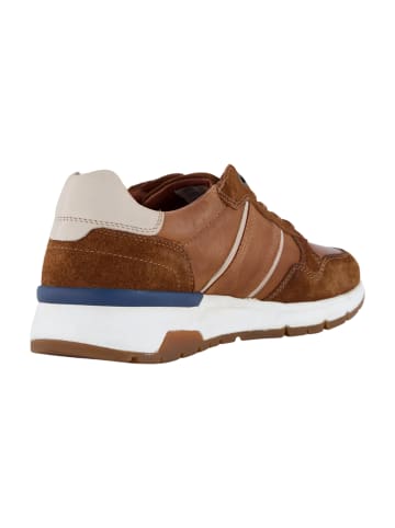 Camel Active Sportliche Schnürschuhe in Braun