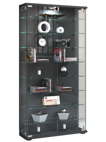 VCM  Holz Glas Stand Vitrine Sammelvitrine Stelas L in Anthrazit