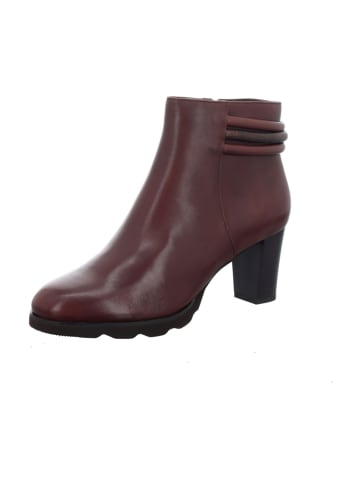 Regarde le Ciel Ankle Boots in Braun