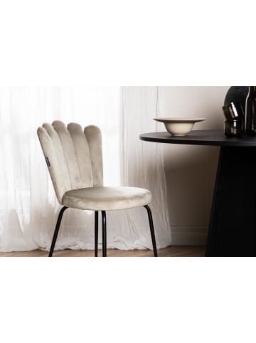 ebuy24 Esszimmerstuhl Limhamn Beige 2er Set