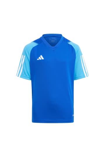 adidas Performance Trainingsshirt Tiro 23 in blau / dunkelblau