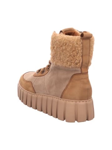 Gabor Comfort Schnürboots in Braun