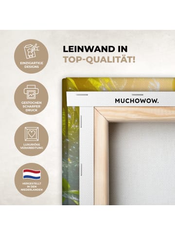 MuchoWow Leinwand bilder Wasserfall Sonnenstrahlen (BxH)