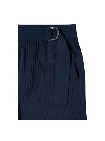Cecil Hose in universal blue