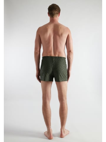 CECEBA Boxershort 2Er Pack Daytona in grün-dunkel-Streifen