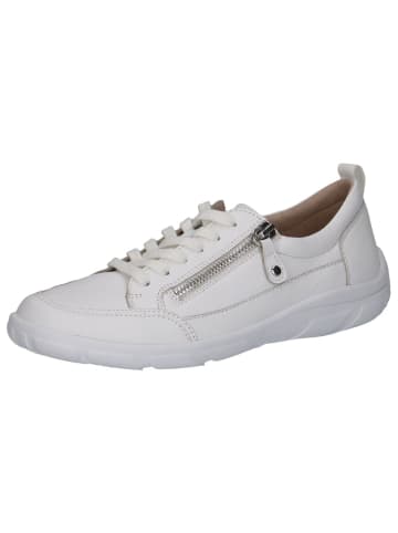 Caprice Sneaker in WHITE NAPPA