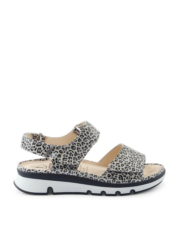 Ganter Komfort Sandalen für Damen in animalprint