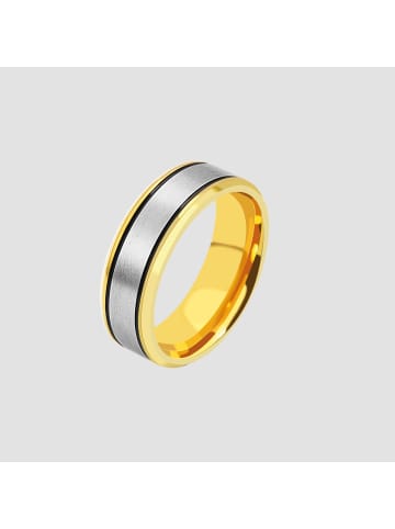 Adeliás Herren Ring aus Edelstahl in gold