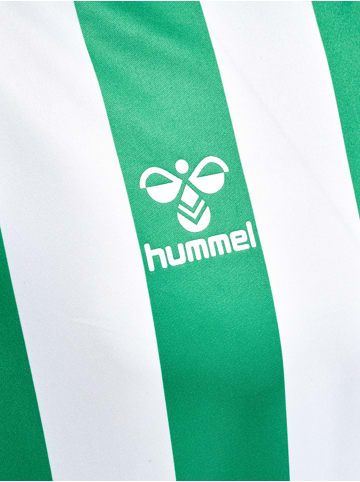 Hummel Hummel T-Shirt Hmlcore Multisport Herren Atmungsaktiv Feuchtigkeitsabsorbierenden in JELLY BEAN/WHITE