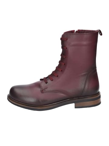 Esgano Stiefeletten/Boot in bordeaux