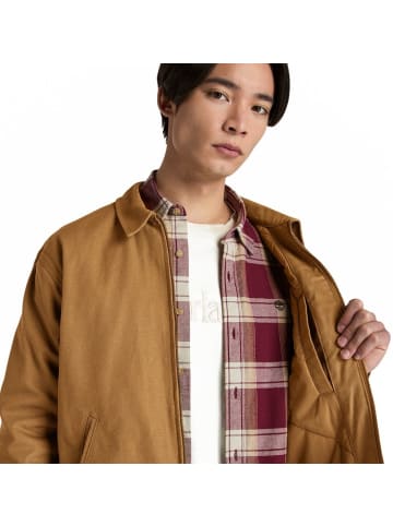 Timberland Jacke "Hollis" in Beige