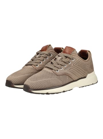 GANT Footwear Sneaker in Braun