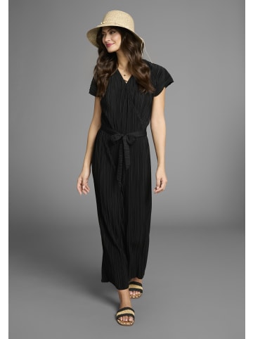 Laura Scott Sonnenhut in natur