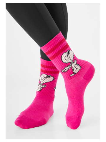 Codello Socken in divers1